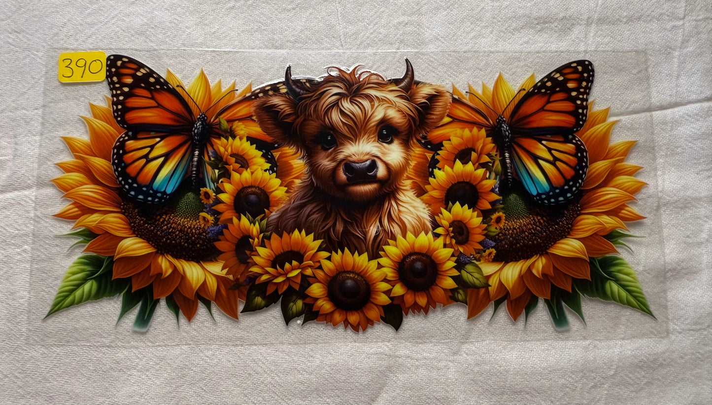 Animals