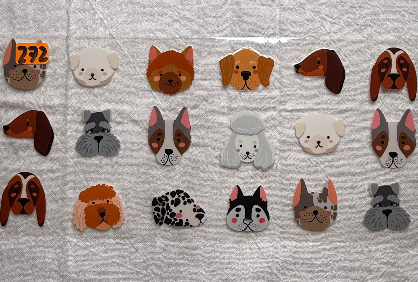 Animals