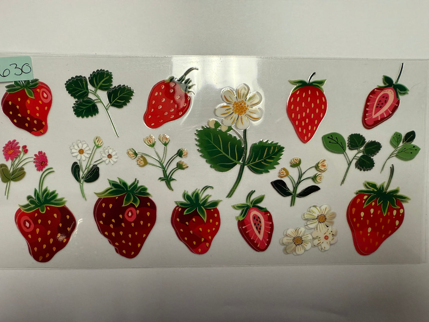 Fruit