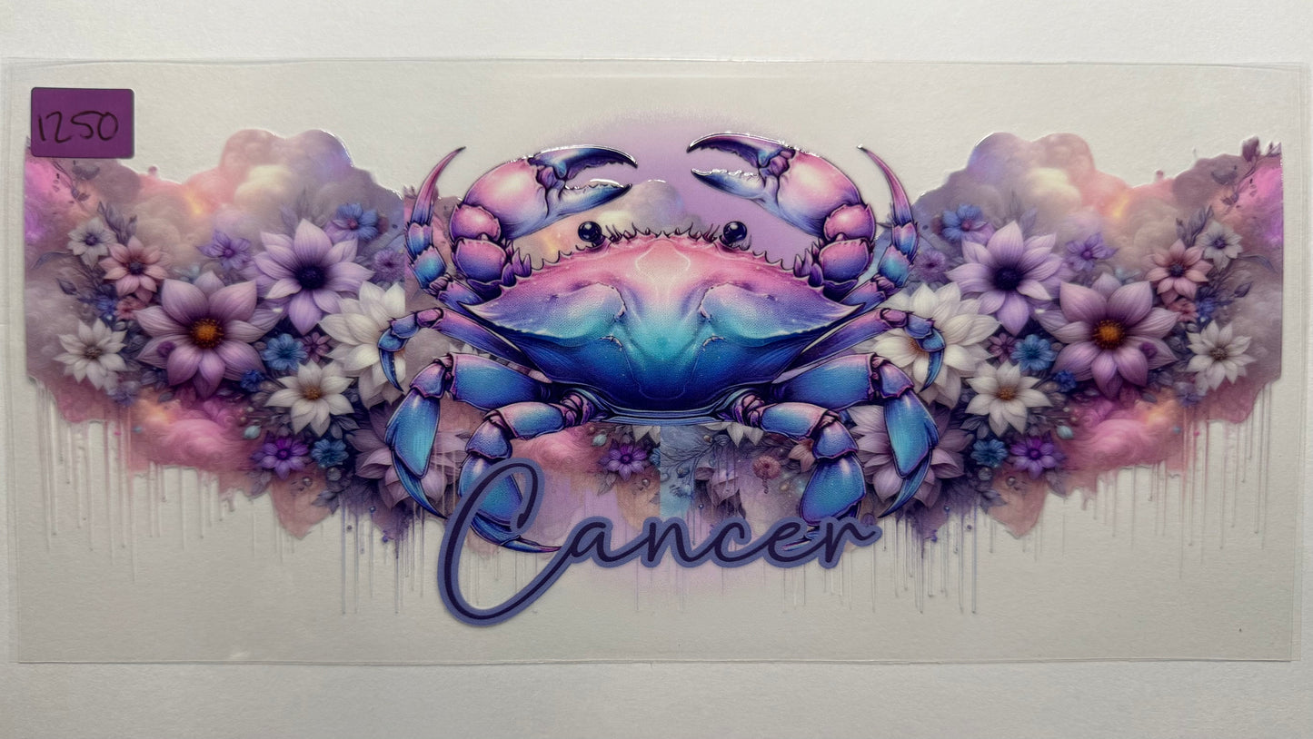 Zodiac|Celestial|Mystical